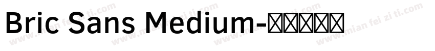 Bric Sans Medium字体转换